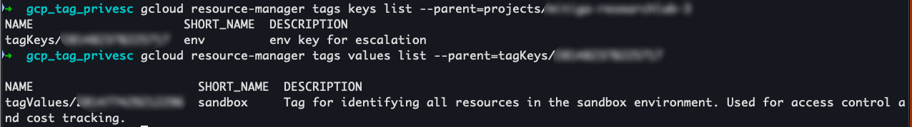Tags Enumeration Example